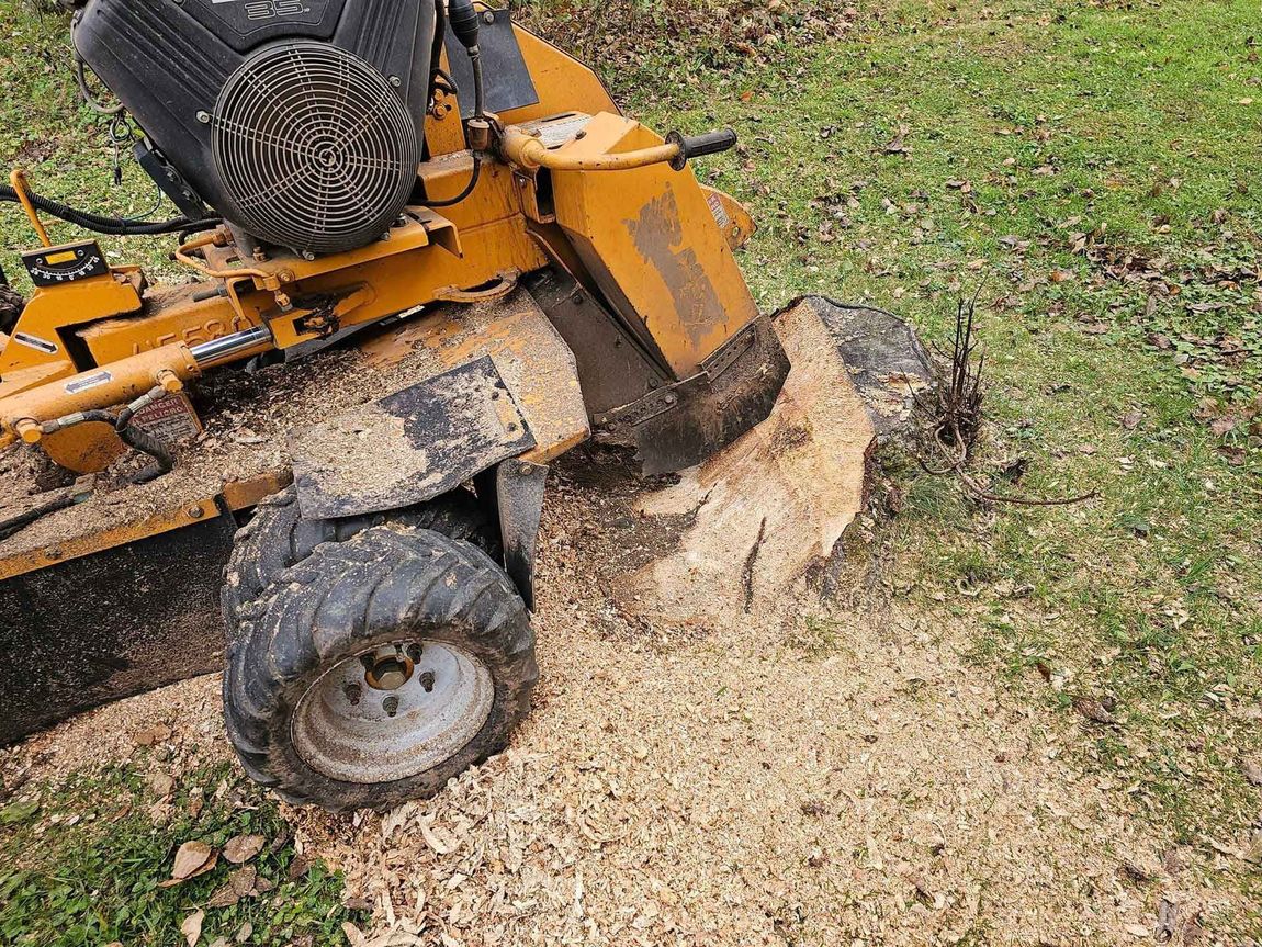 Grinding a Tree Stump