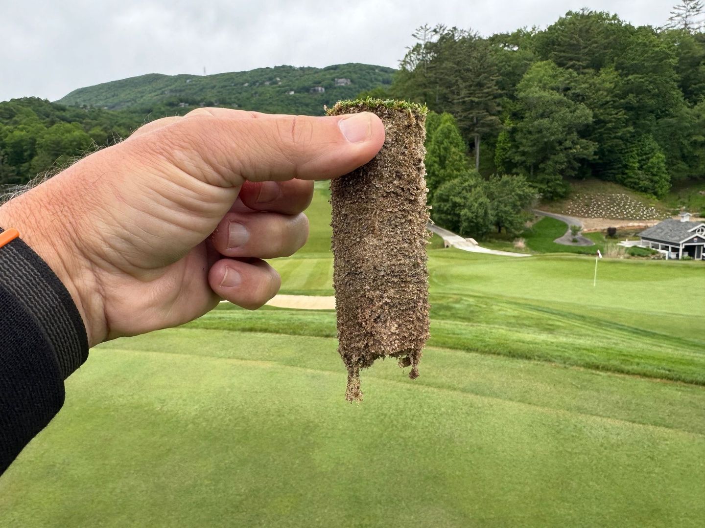 A person is holding a piece of grass in their hand on a golf course.