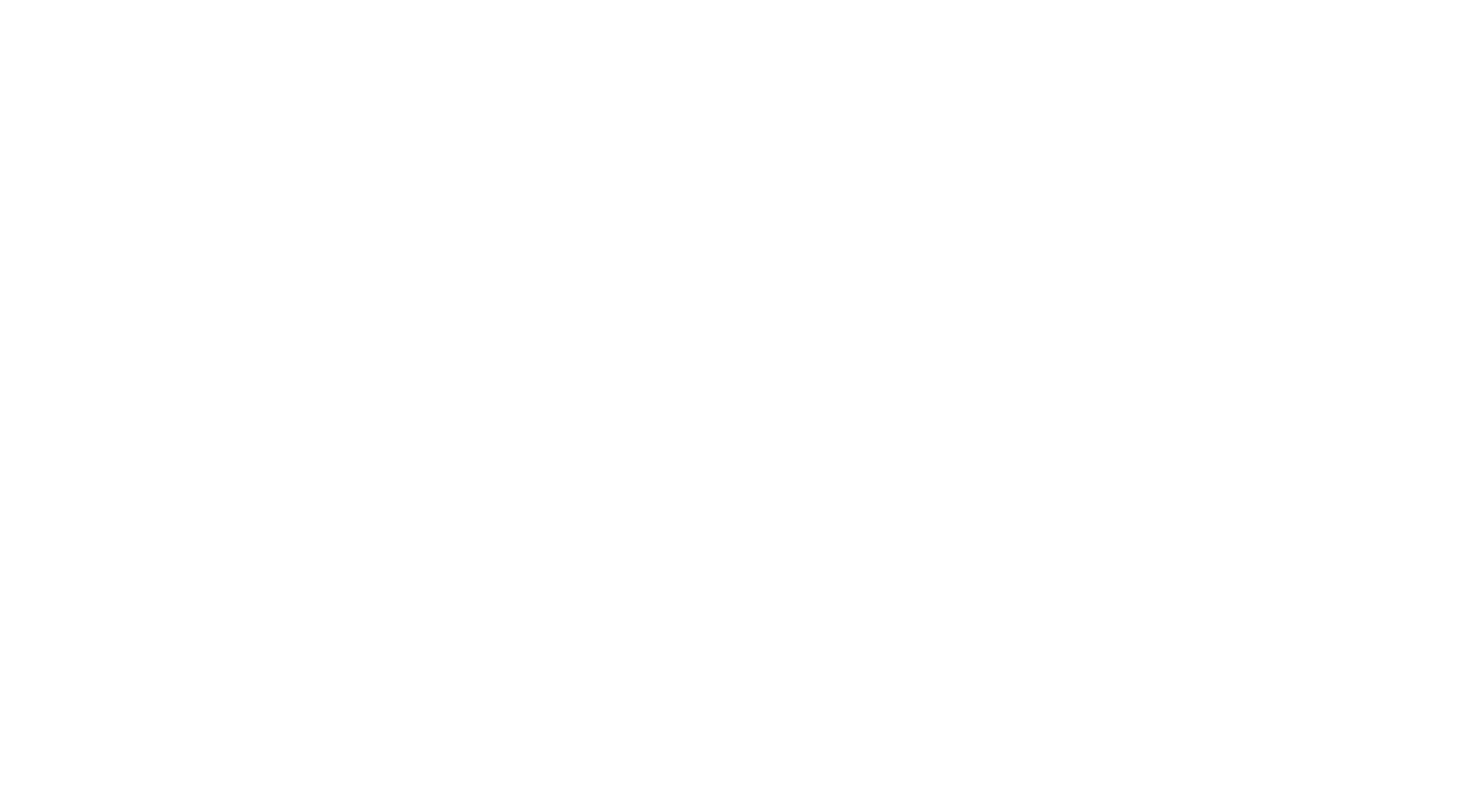 bettys the pink store
