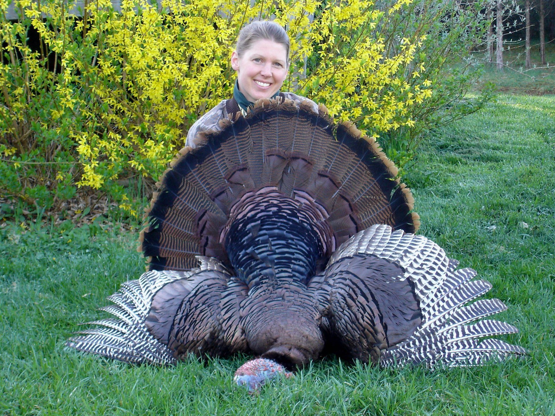 Hunting Seat that allows a hunter to turn quickly and quietly