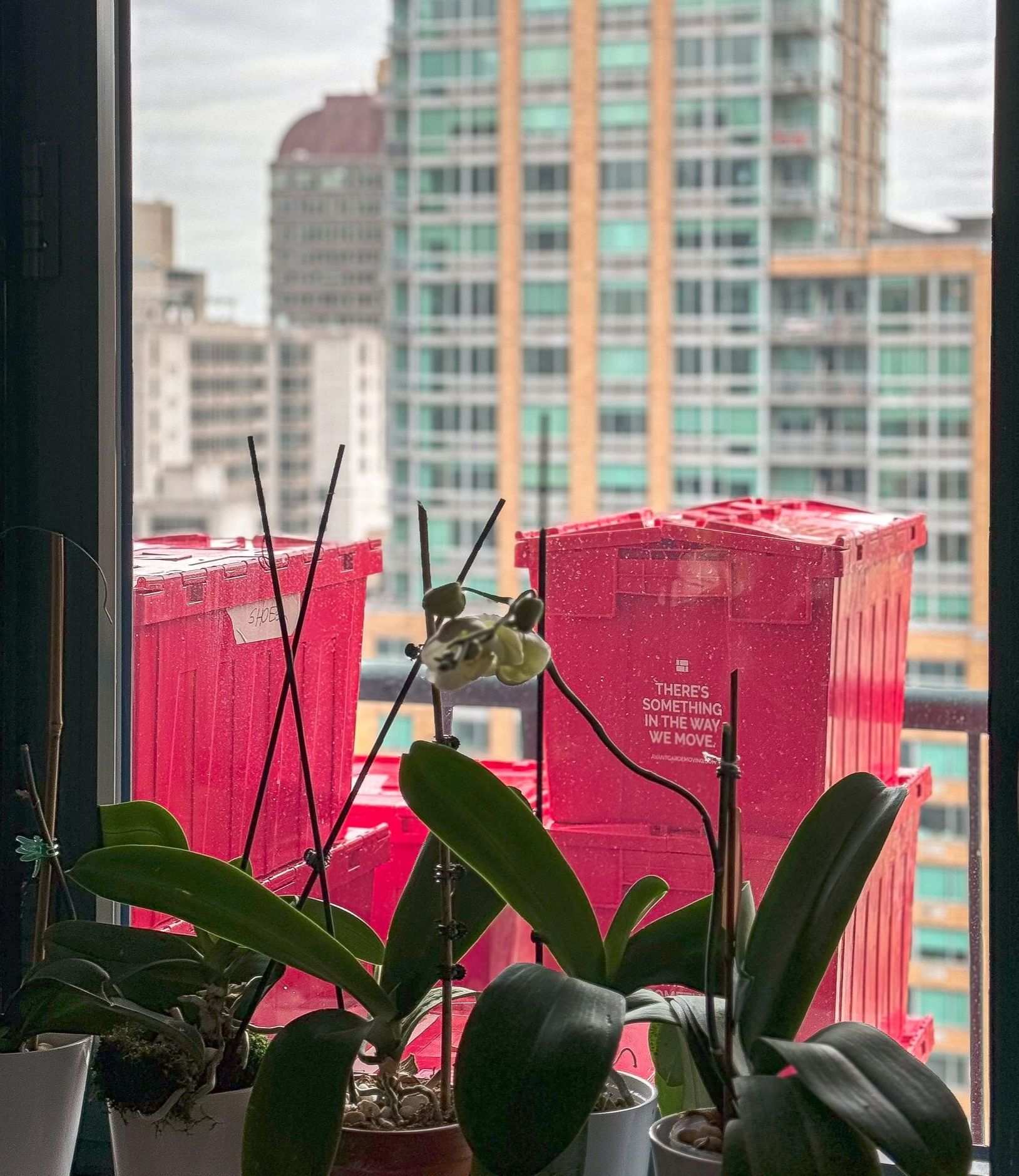 photo of avant-garde reusable plastic moving bins out on a balcony overlooking Manhattan buildings 