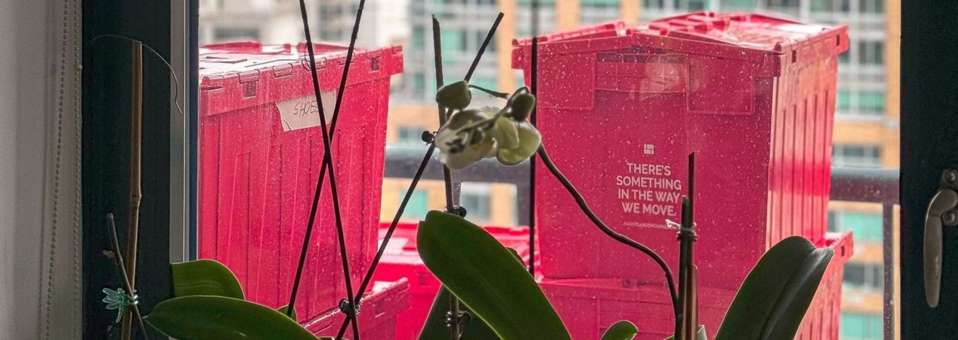 Photo of avant-garde reusable plastic moving bins, out on a balcony overlooking Manhattan buildings 