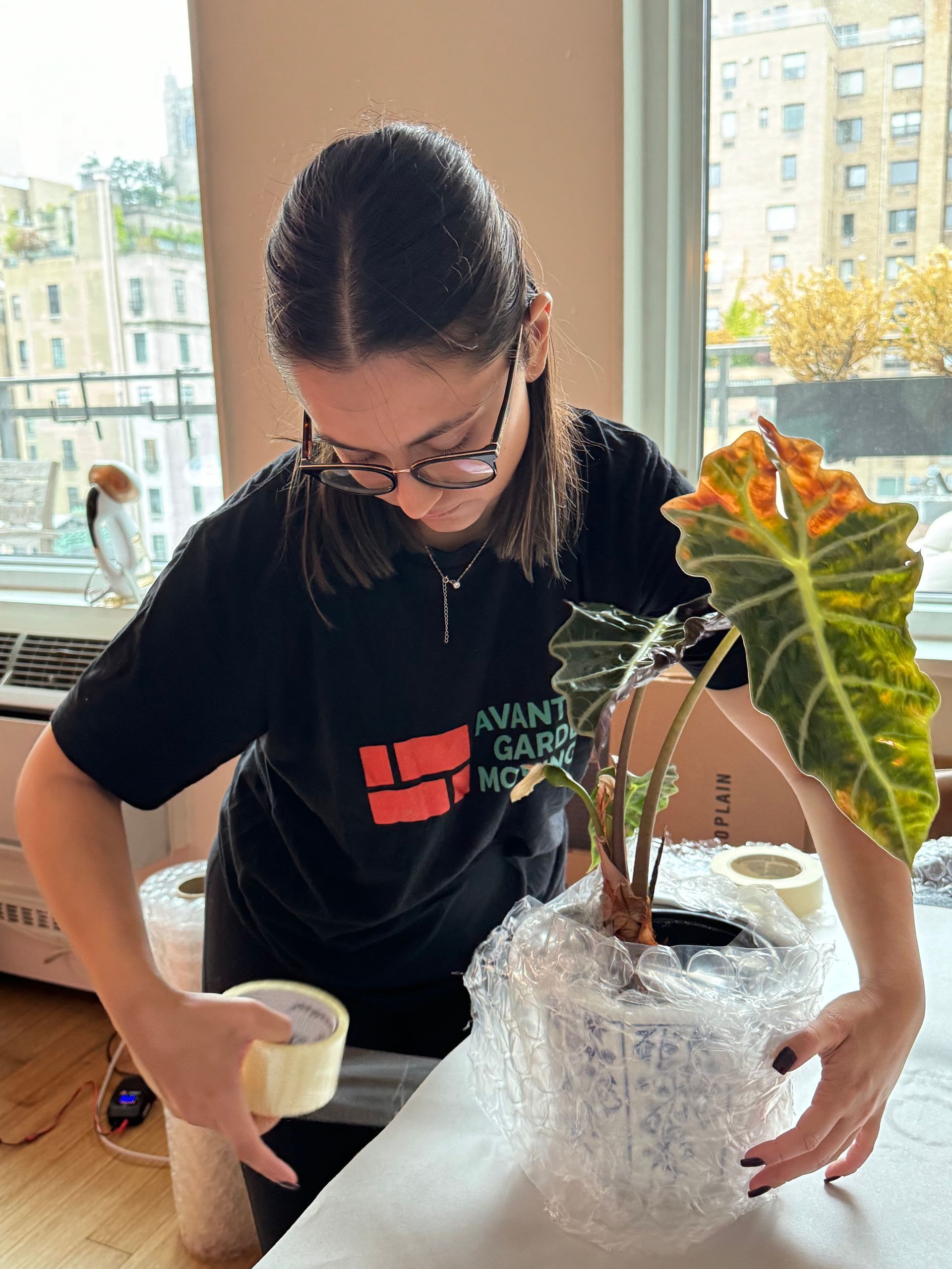 avant-garde packer carefully protecting plant and it's pot with bubble wrap 