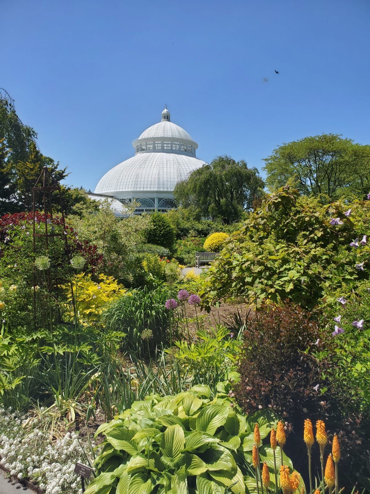 Photo of Brooklyn Botanical garden