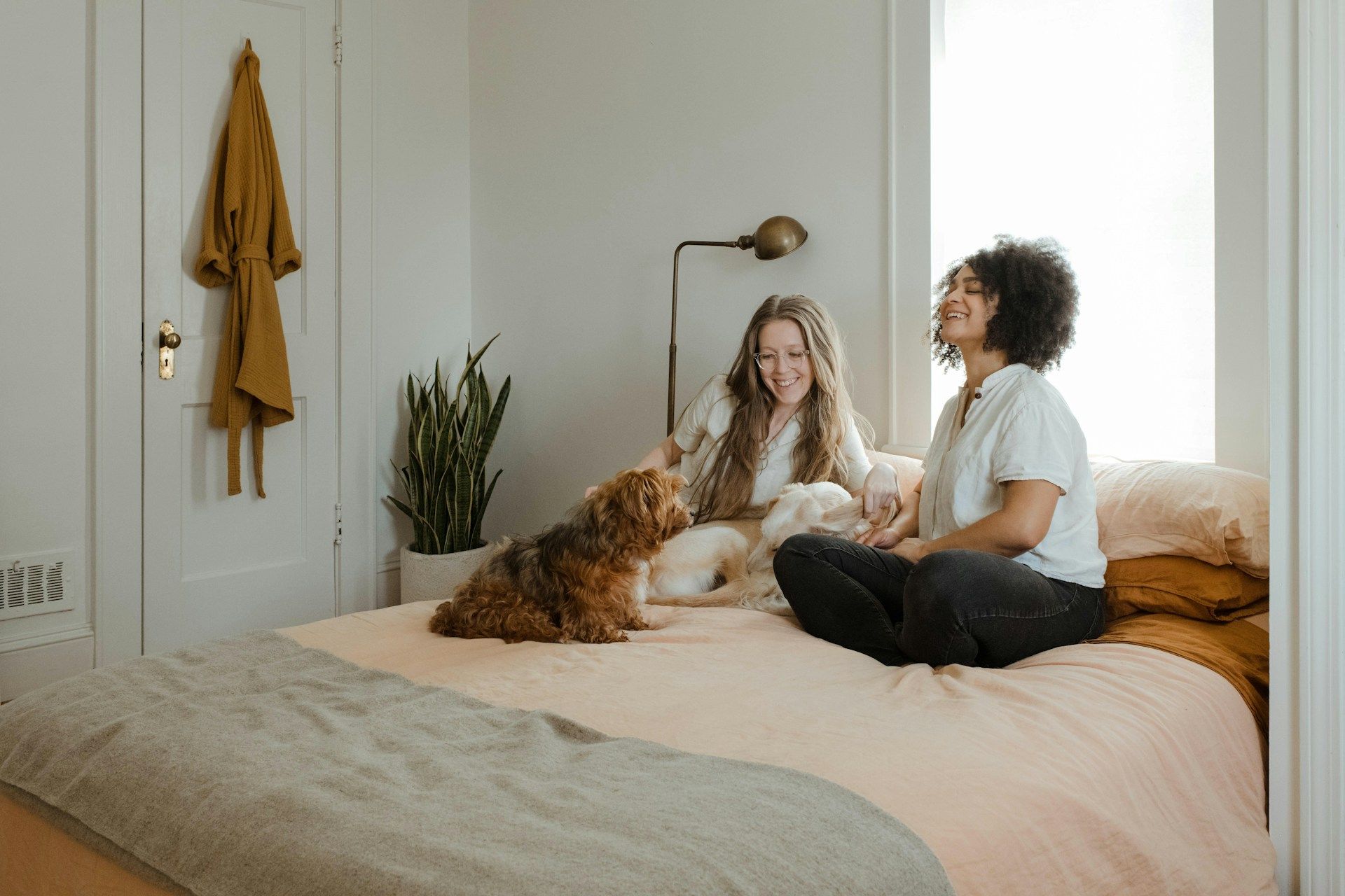 moving with pets