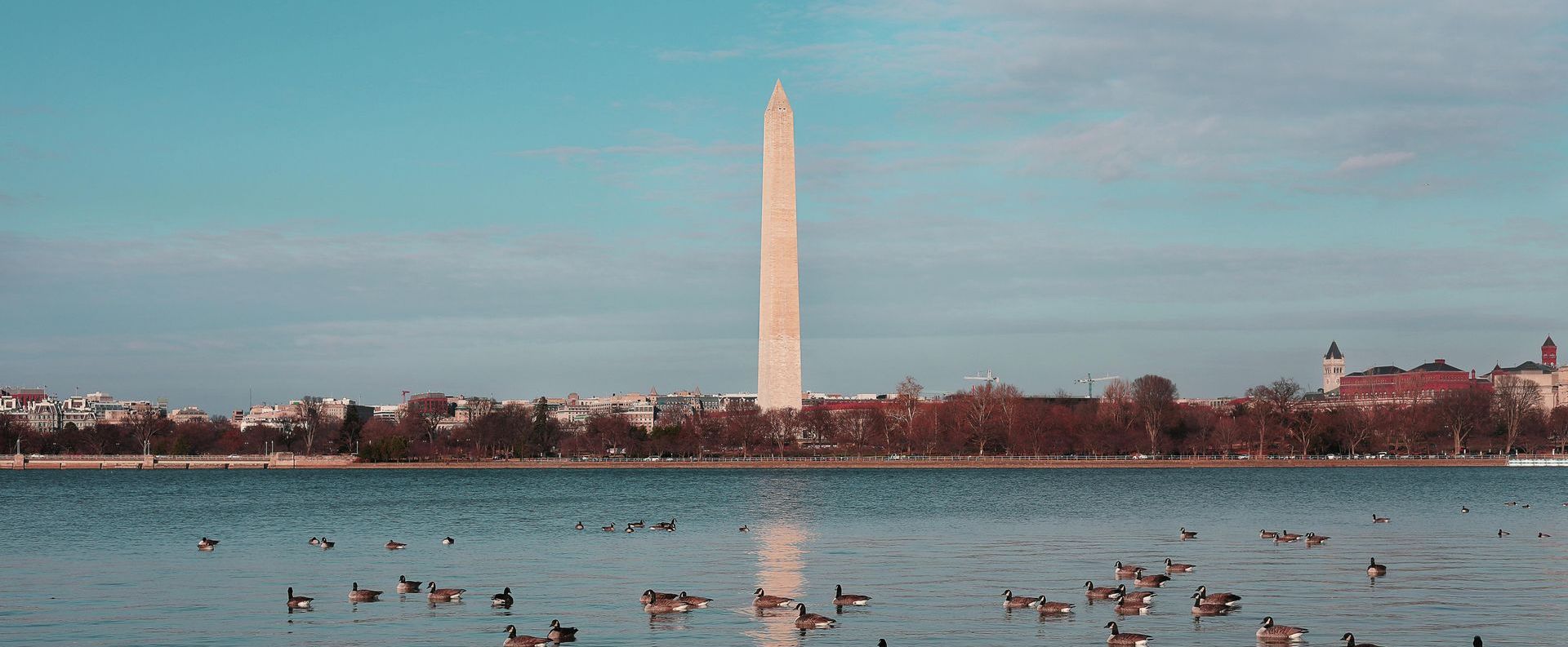 Photo of Washington D.C.