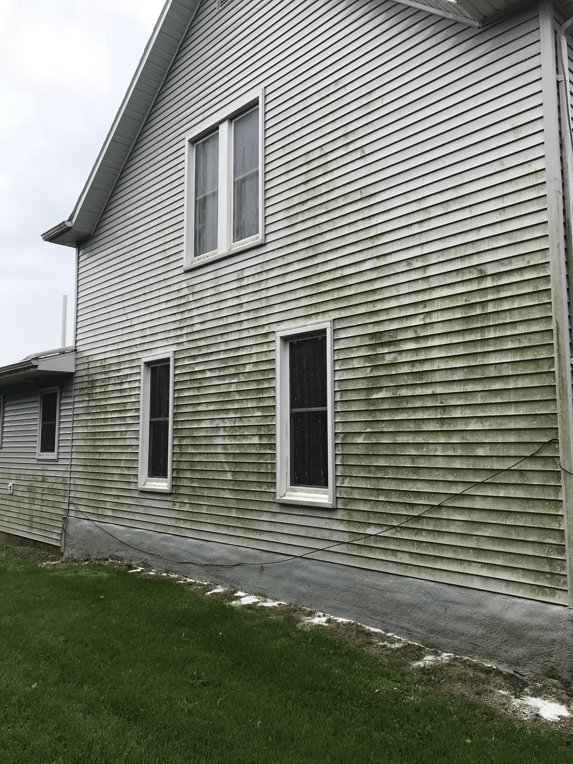A house with a lot of green algae on the side of it.