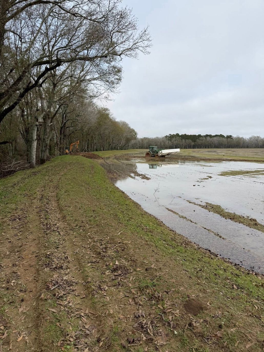 Muddy lakeside path beside bare trees and flooded fields under a cloudy sky