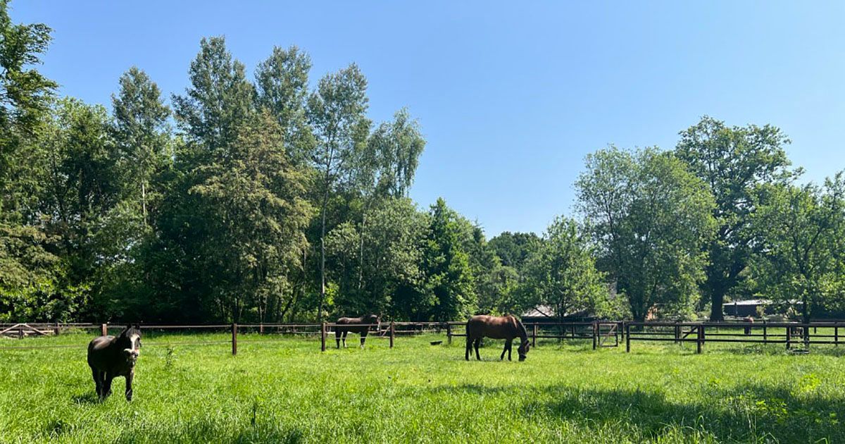 B&B Hoeve Nooitgedacht