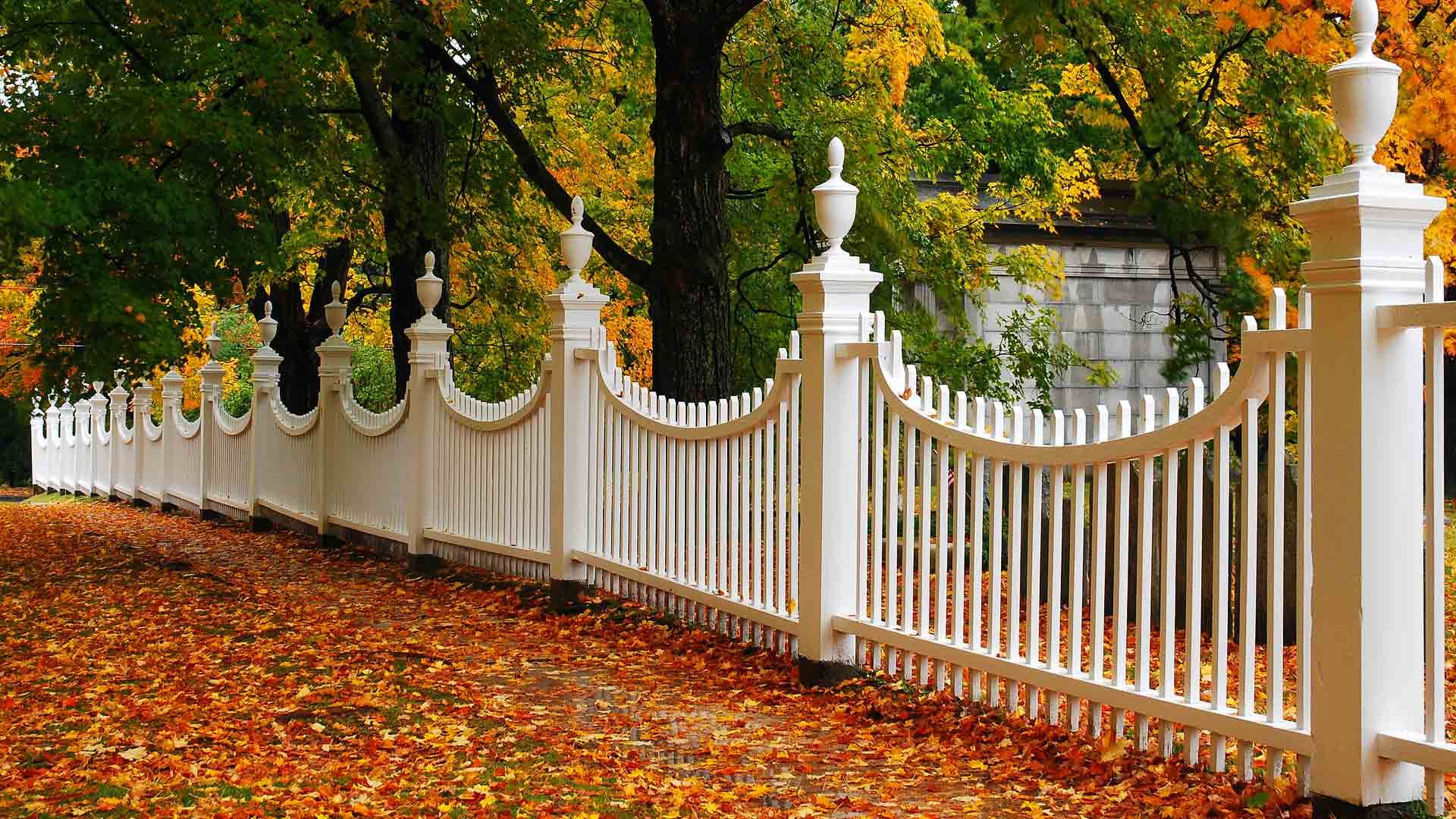 A white picket fence surrounds a path with leaves on the ground.