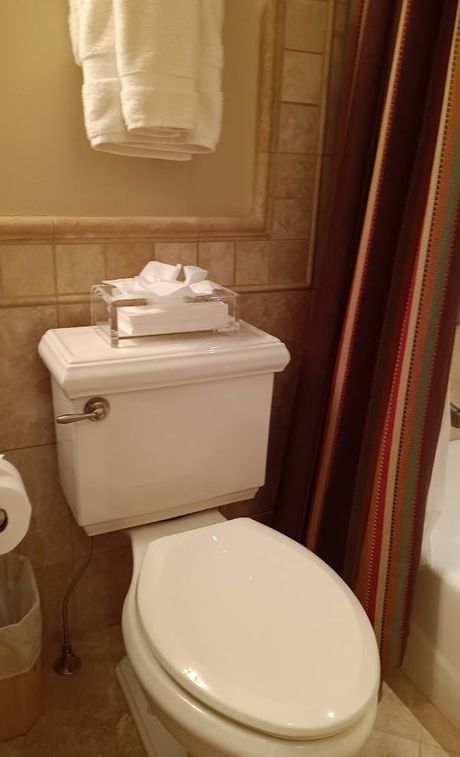 A bathroom with a toilet , toilet paper , and shower curtain.