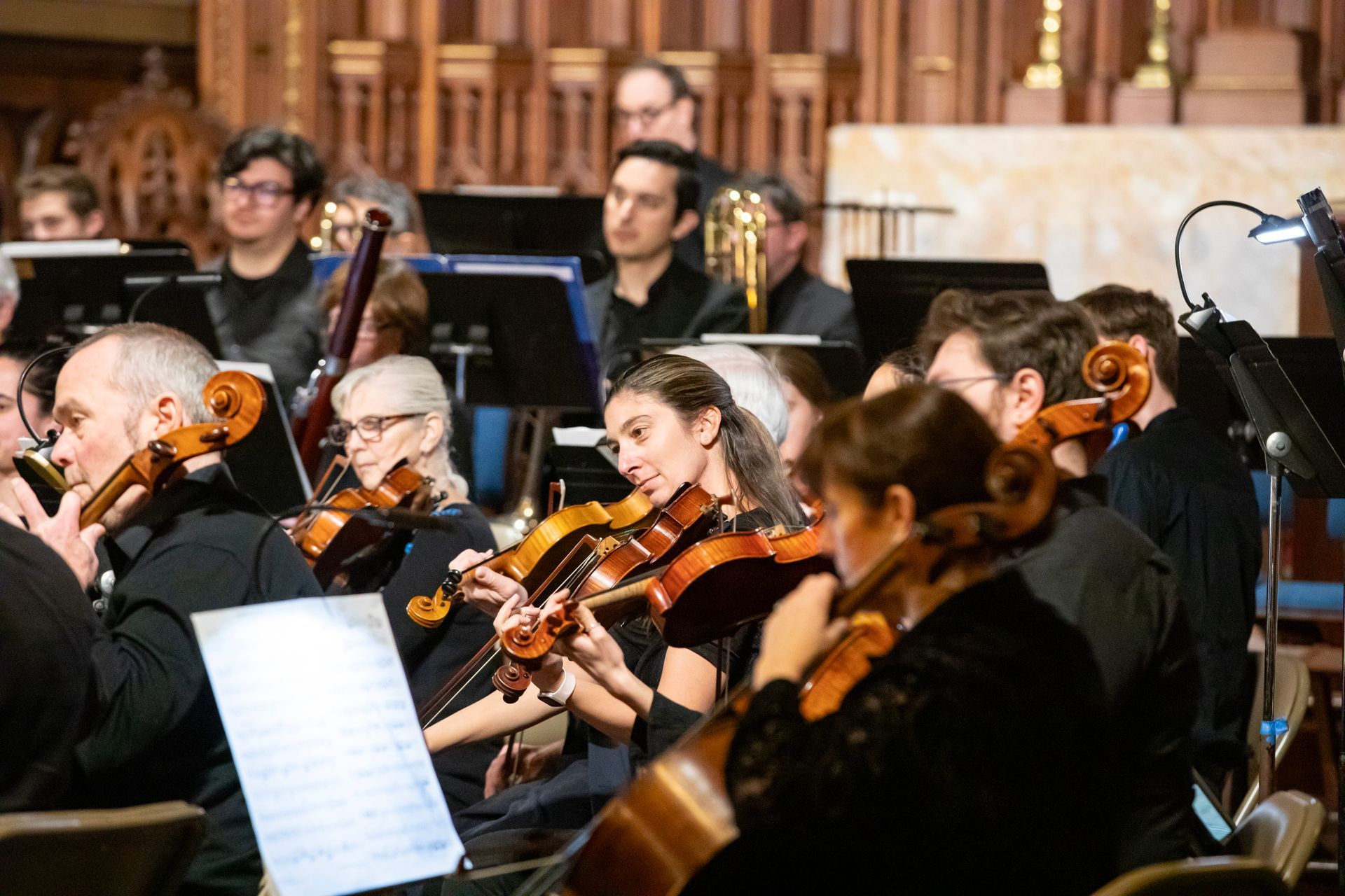 A group of people are playing violins in an orchestra.