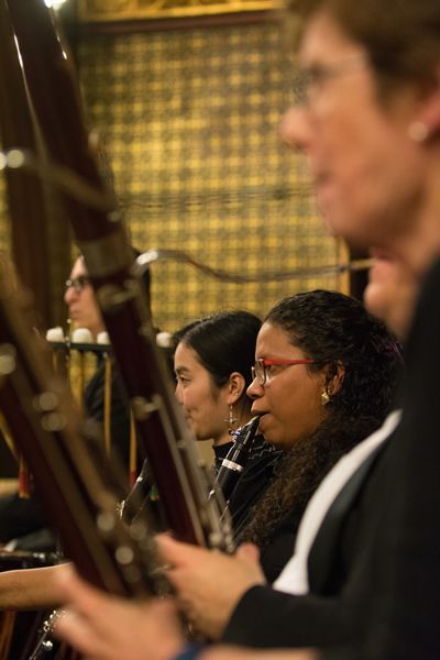 A group of people are playing instruments in an orchestra.