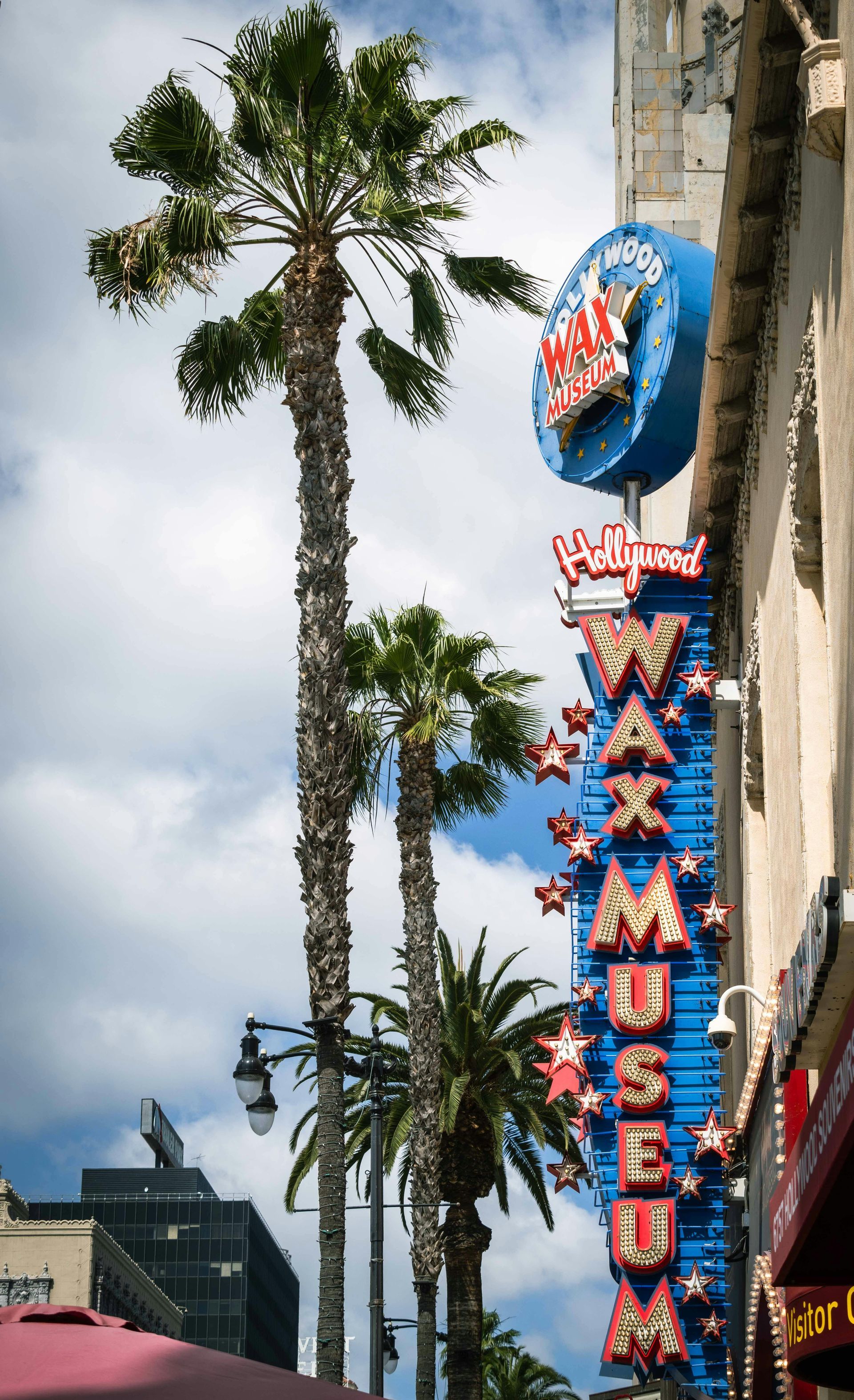 Hollywood Wax Museum sign with palm trees, blue sky, and red and white details.