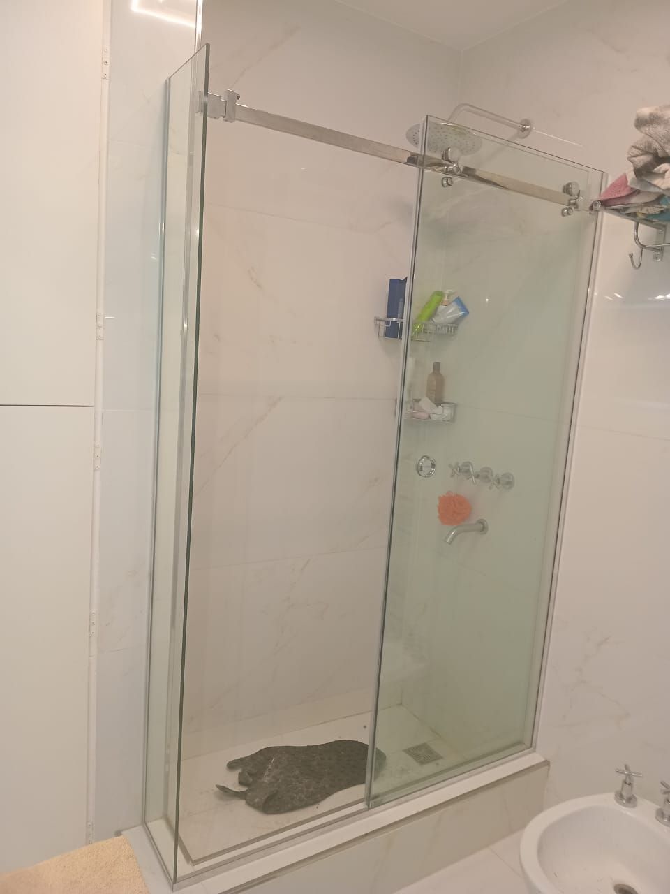 Cabina de ducha con puerta corrediza de cristal, azulejos blancos y un gato gris acostado en el interior.