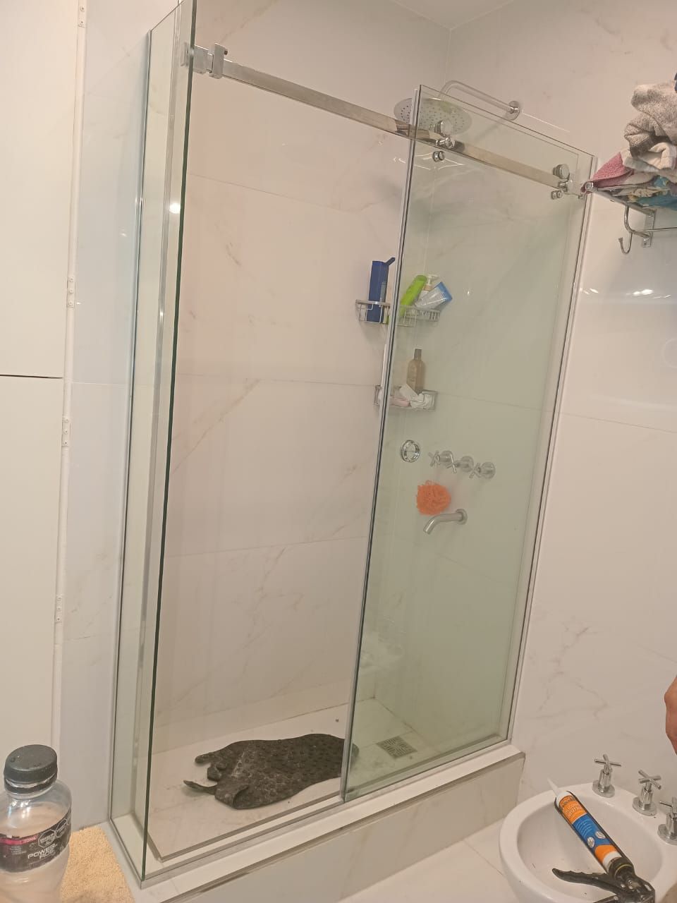 Un gato tumbado en una ducha con la puerta de cristal parcialmente esmerilada. La ducha está en un baño.