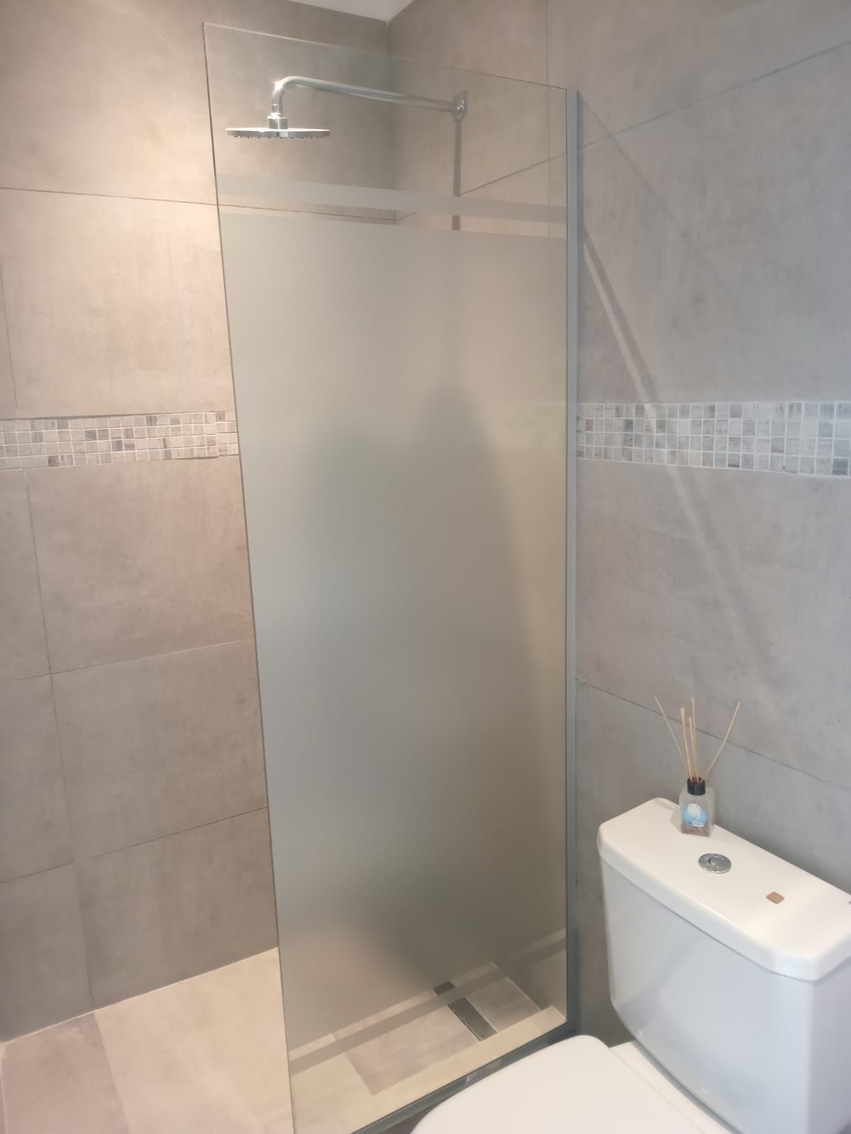 Ducha con panel de vidrio esmerilado y cabezal de ducha superior, junto a un inodoro en un baño