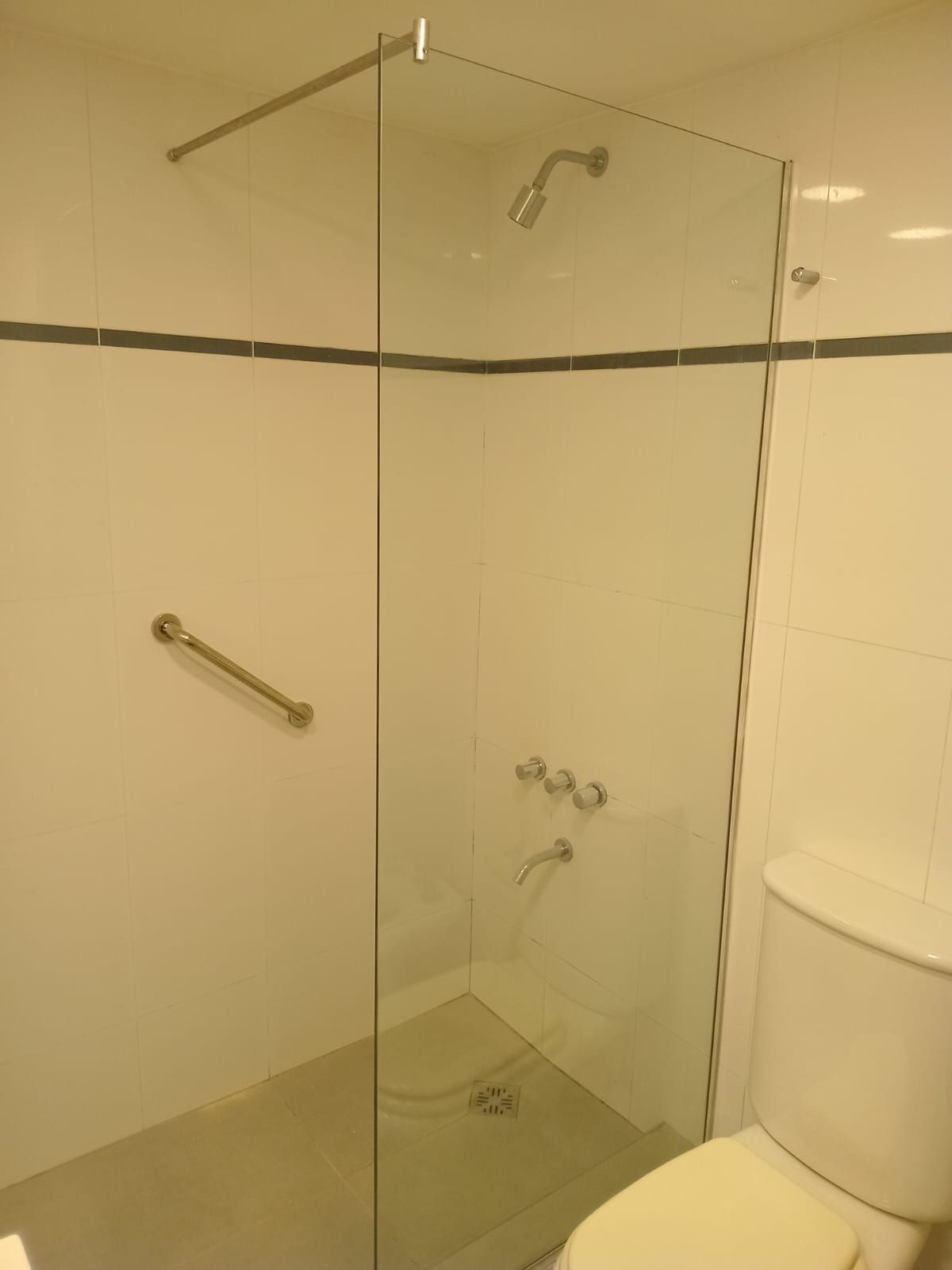 Una ducha con mampara de cristal en un baño con inodoro y barra de apoyo.