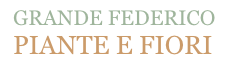 GRANDE FEDERICO PIANTE E FIORI-logo