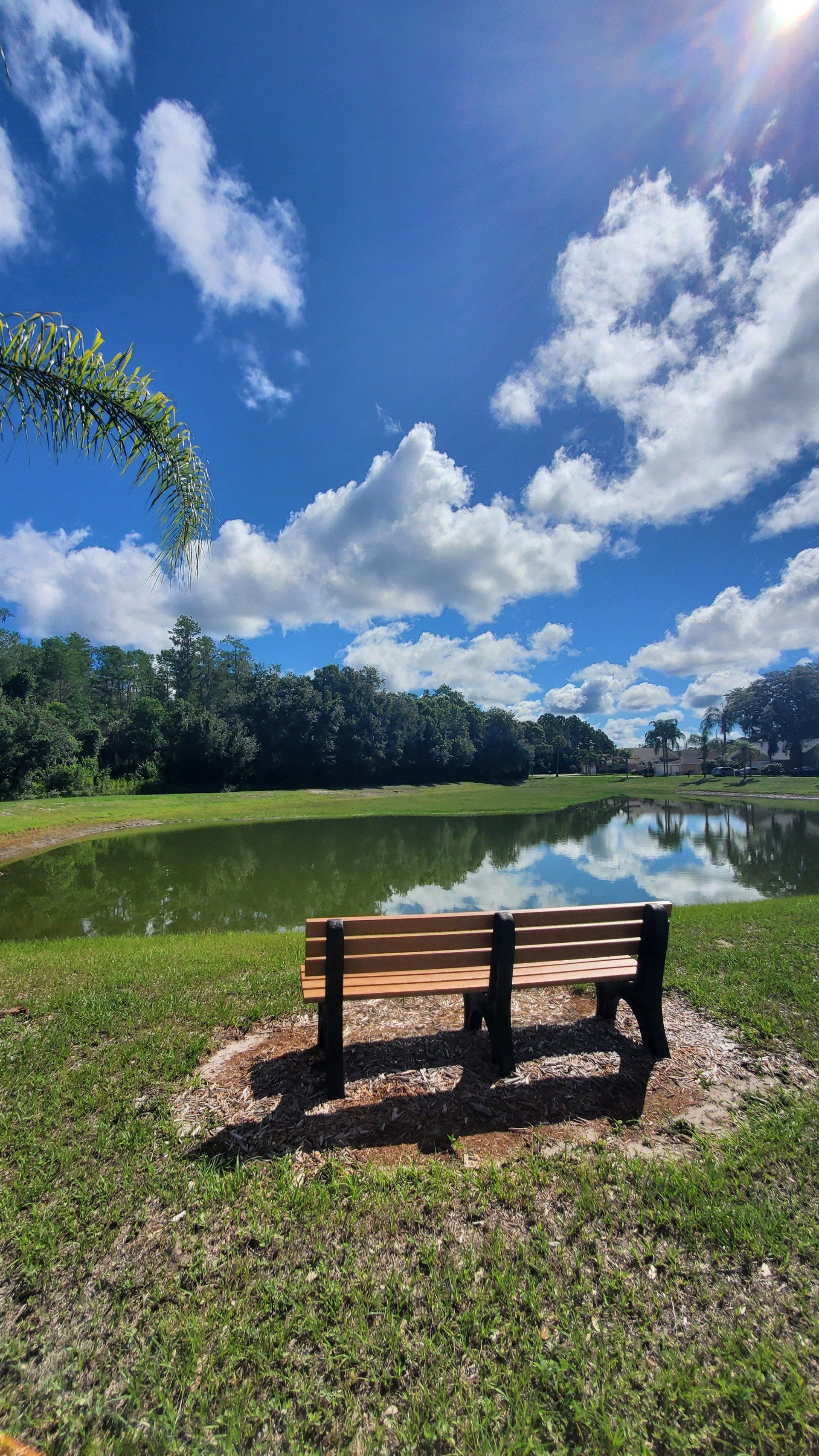 Two wooden benches are sitting next to a lake on a sunny day.