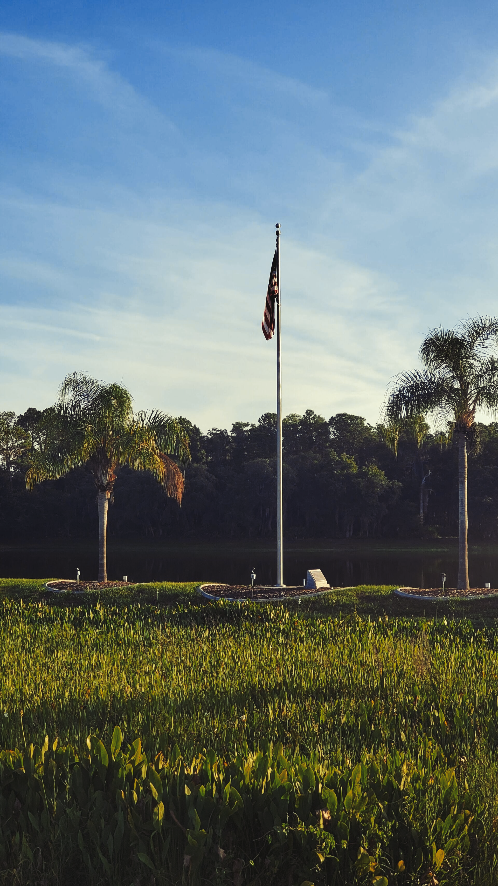 A flag pole in the middle of a field with trees in the background.