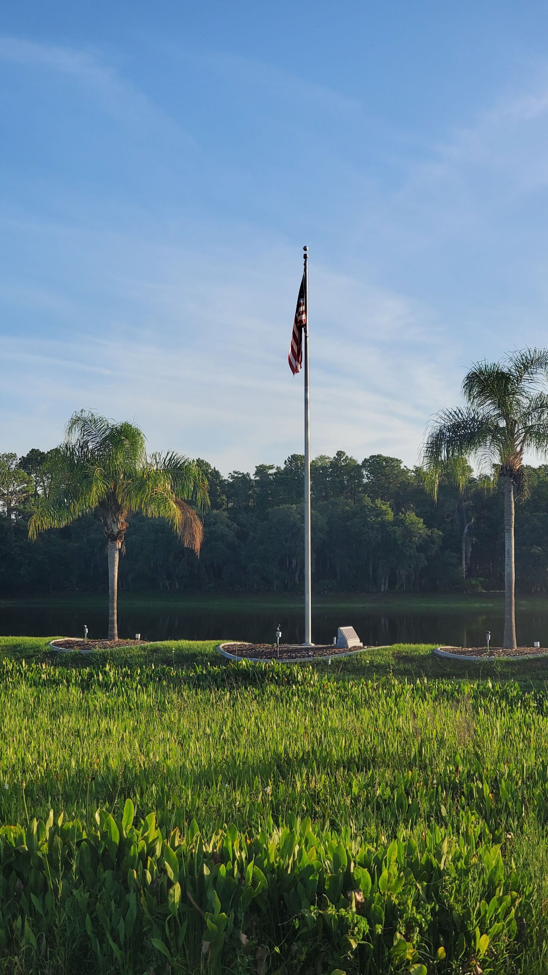 A flag pole in the middle of a field with trees in the background.