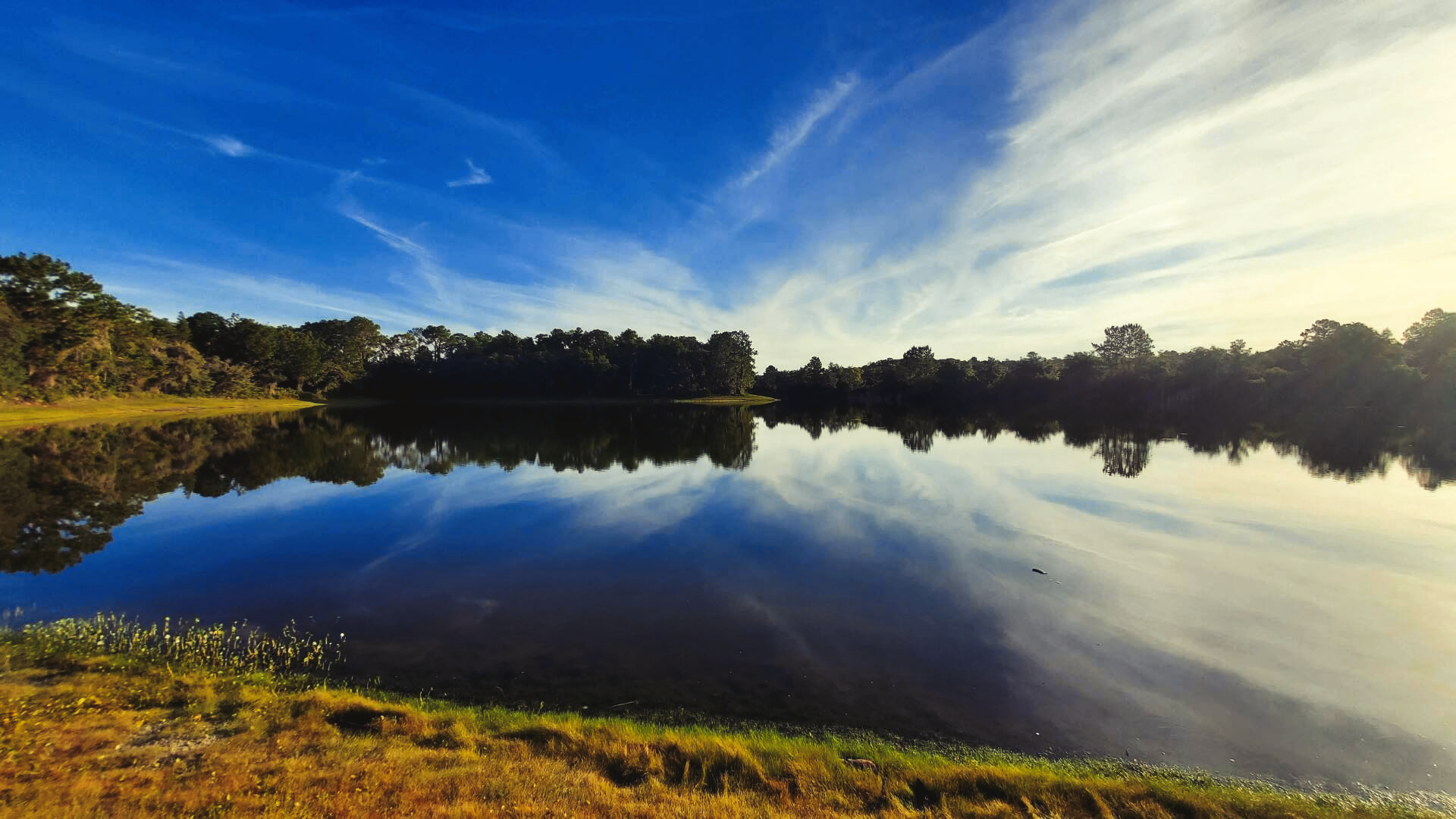 A lake with trees on the shore and a blue sky with clouds reflected in the water.