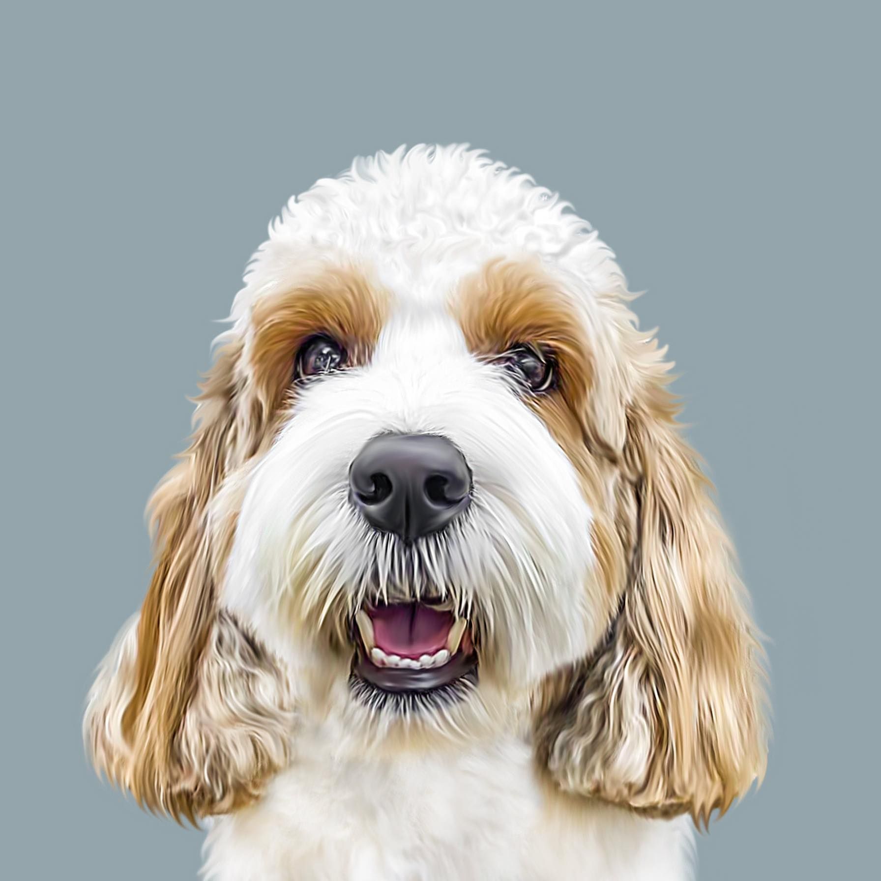 A brown and white dog is looking at the camera with its mouth open.