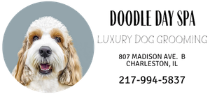 A logo for doodle day spa with a dog 's face and ears