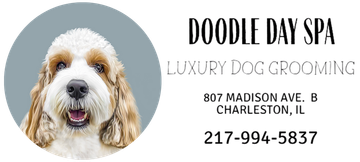 A logo for doodle day spa with a dog 's face and ears