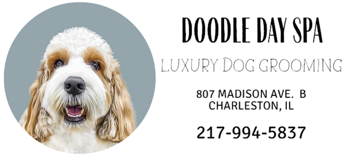 A logo for doodle day spa with a dog 's face and ears