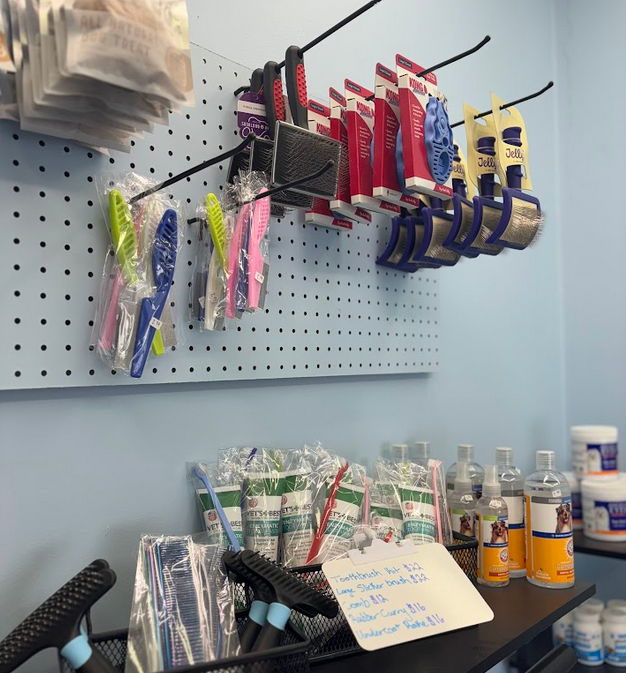 A shih tzu dog is being combed by a person