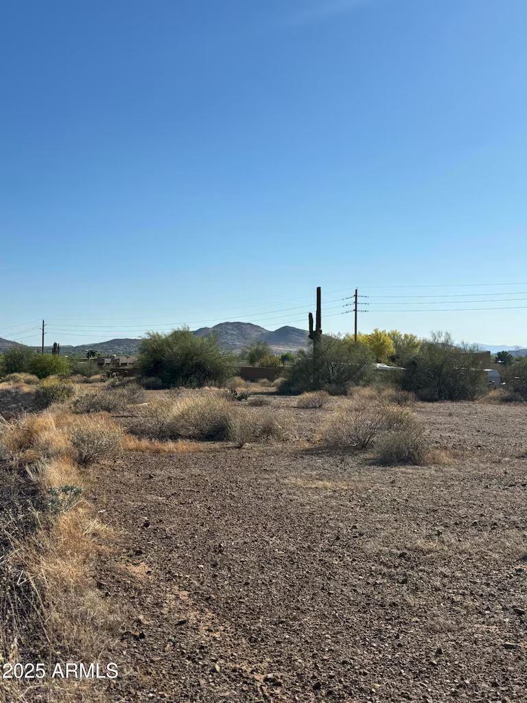 An arid desert landscape featuring dry ground, scattered bushes, a tall saguaro cactus, and distant mountains under blue sky.