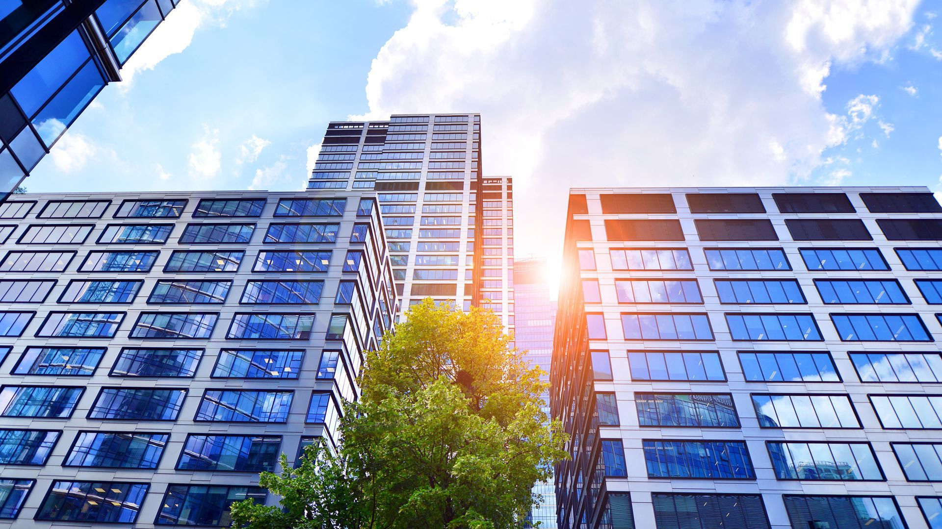 Modern office buildings with glass facades reaching toward a bright, blue sky with sun glare and a green tree.