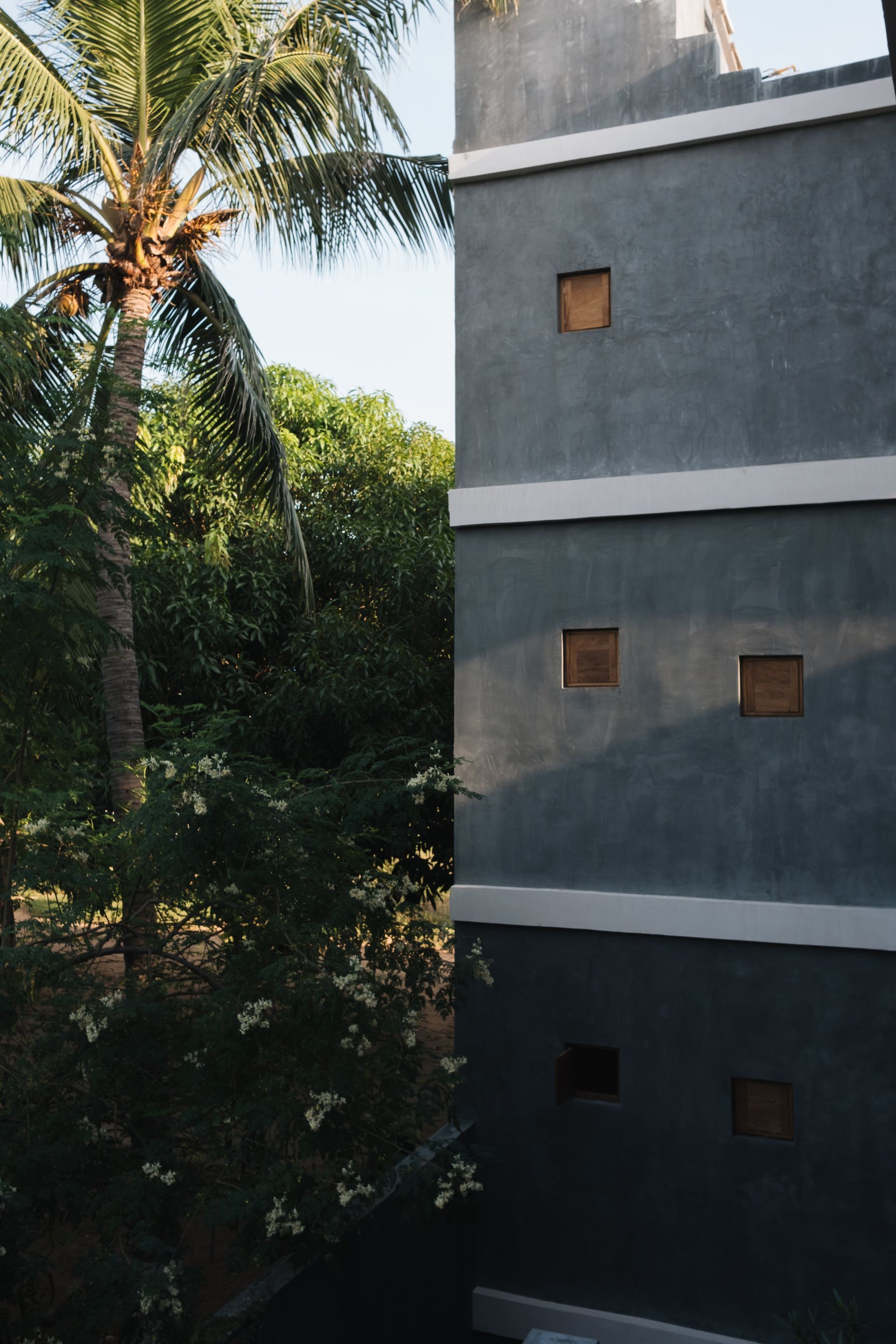 A gray, multi-story exterior wall with small square windows, beside a palm tree and lush green foliage.