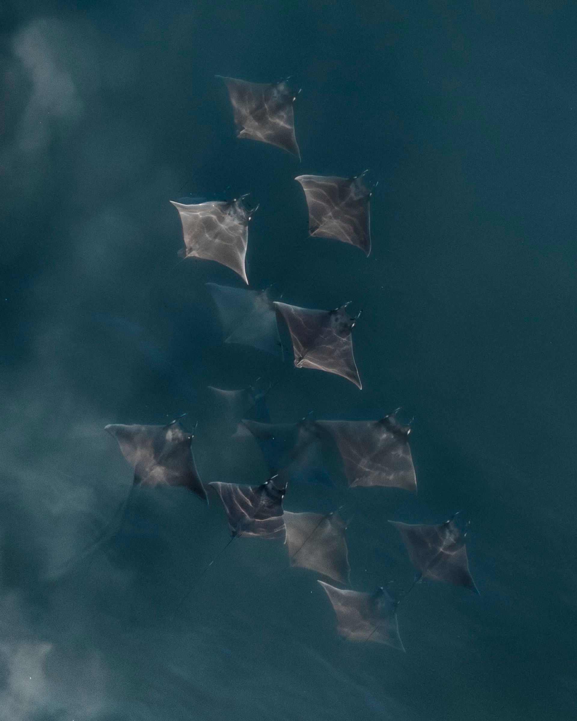 Glowing blue waves crashing on a sandy beach at night.
