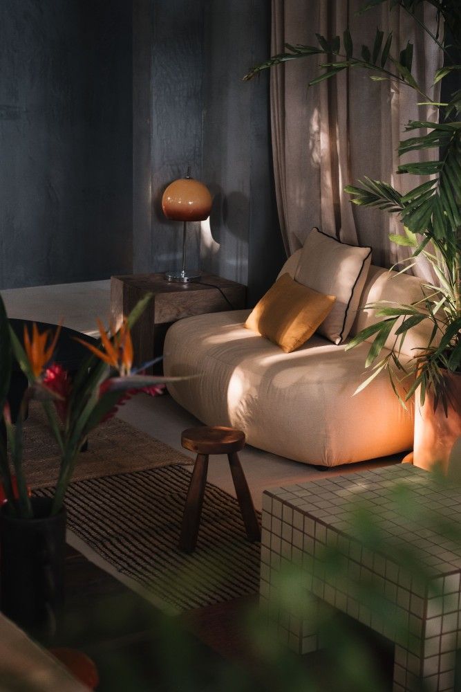 Cozy living room with cream sofa, orange lamp, and plants bathed in sunlight. Dark blue wall.