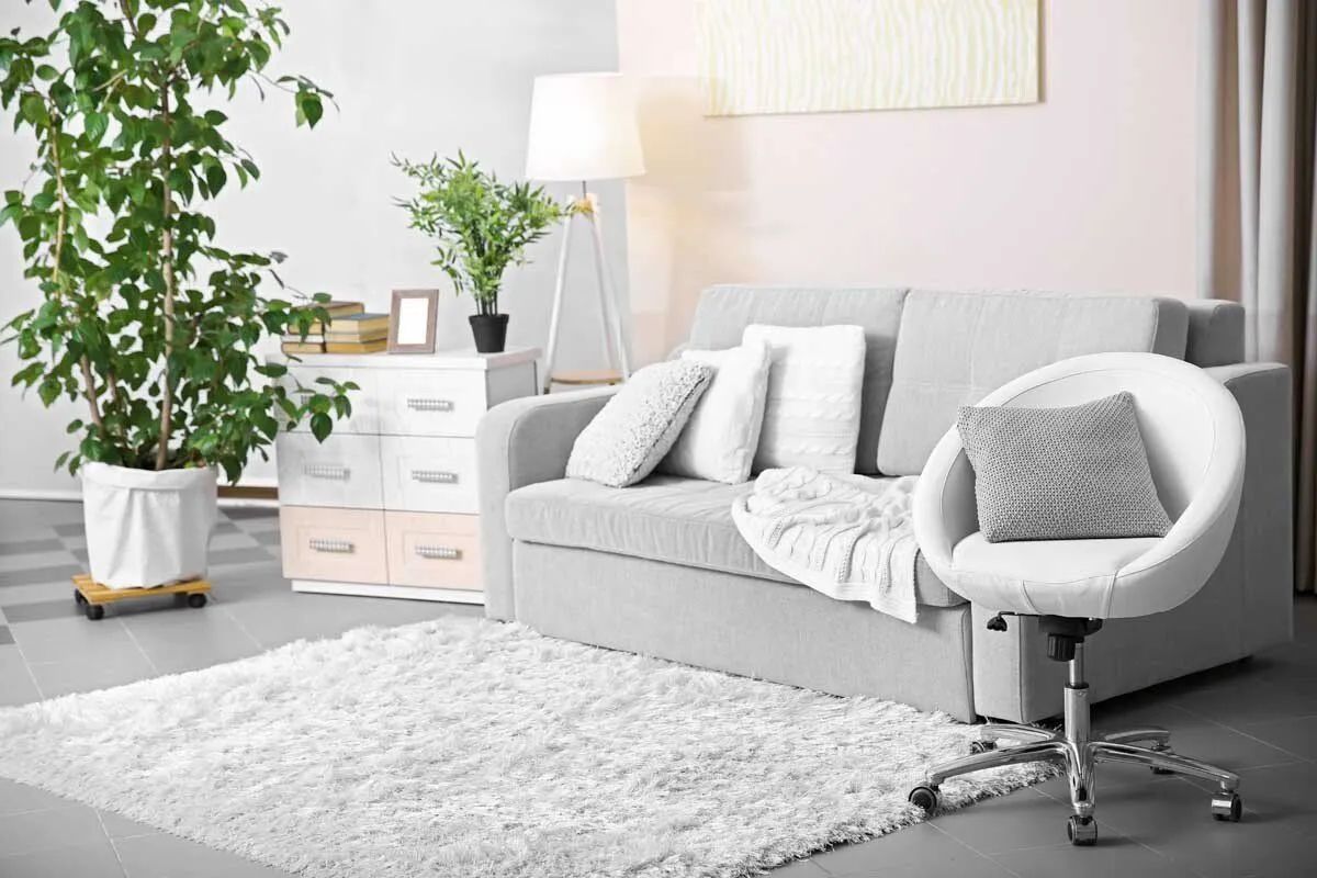 A living room with a couch , chair , rug and potted plant.