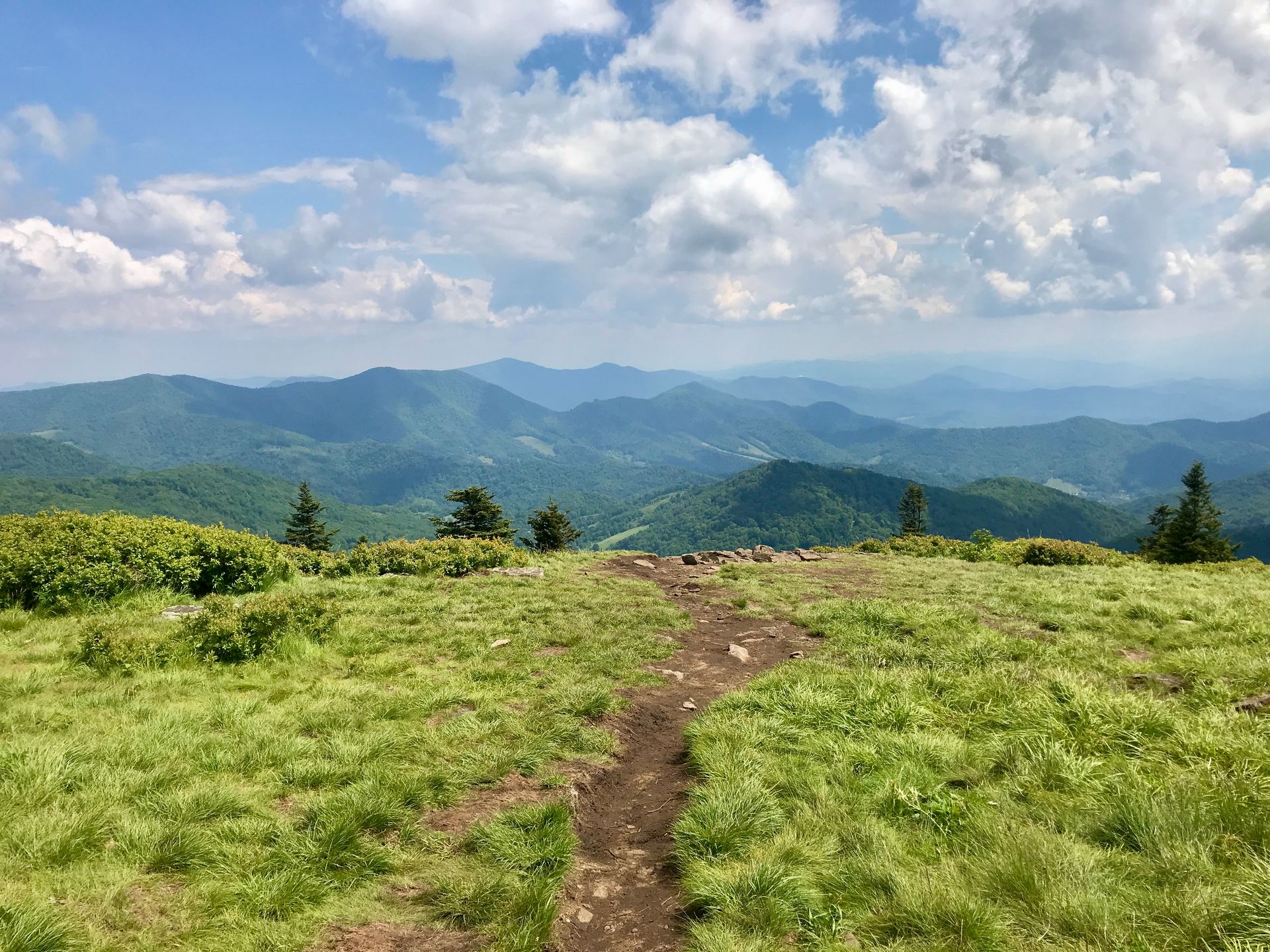 Roan Mountain bald photo by Brooke Pennington 
