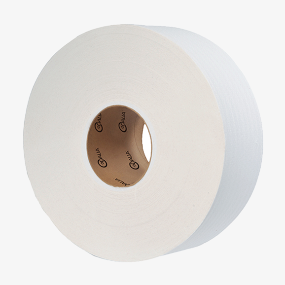 Papel Higiénico Dalia 6/360