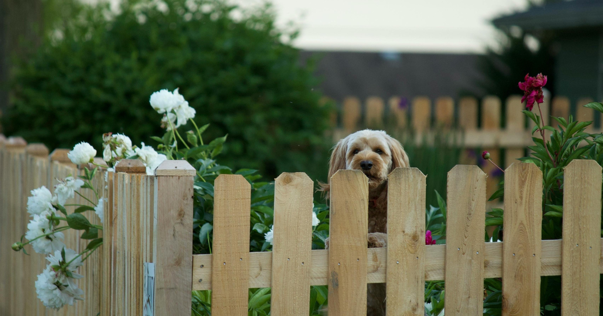 vinyl fence in nj
