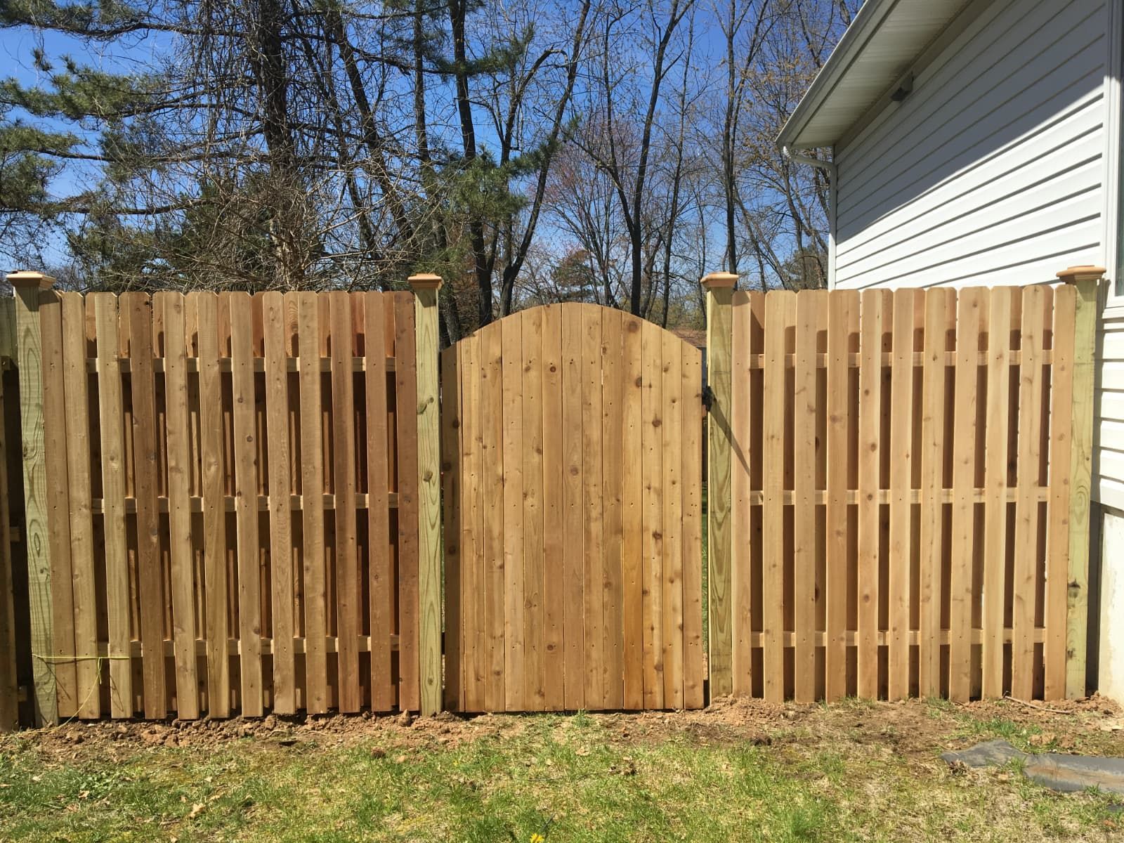 A white picket fence is surrounded by trees and leaves on a sunny day.