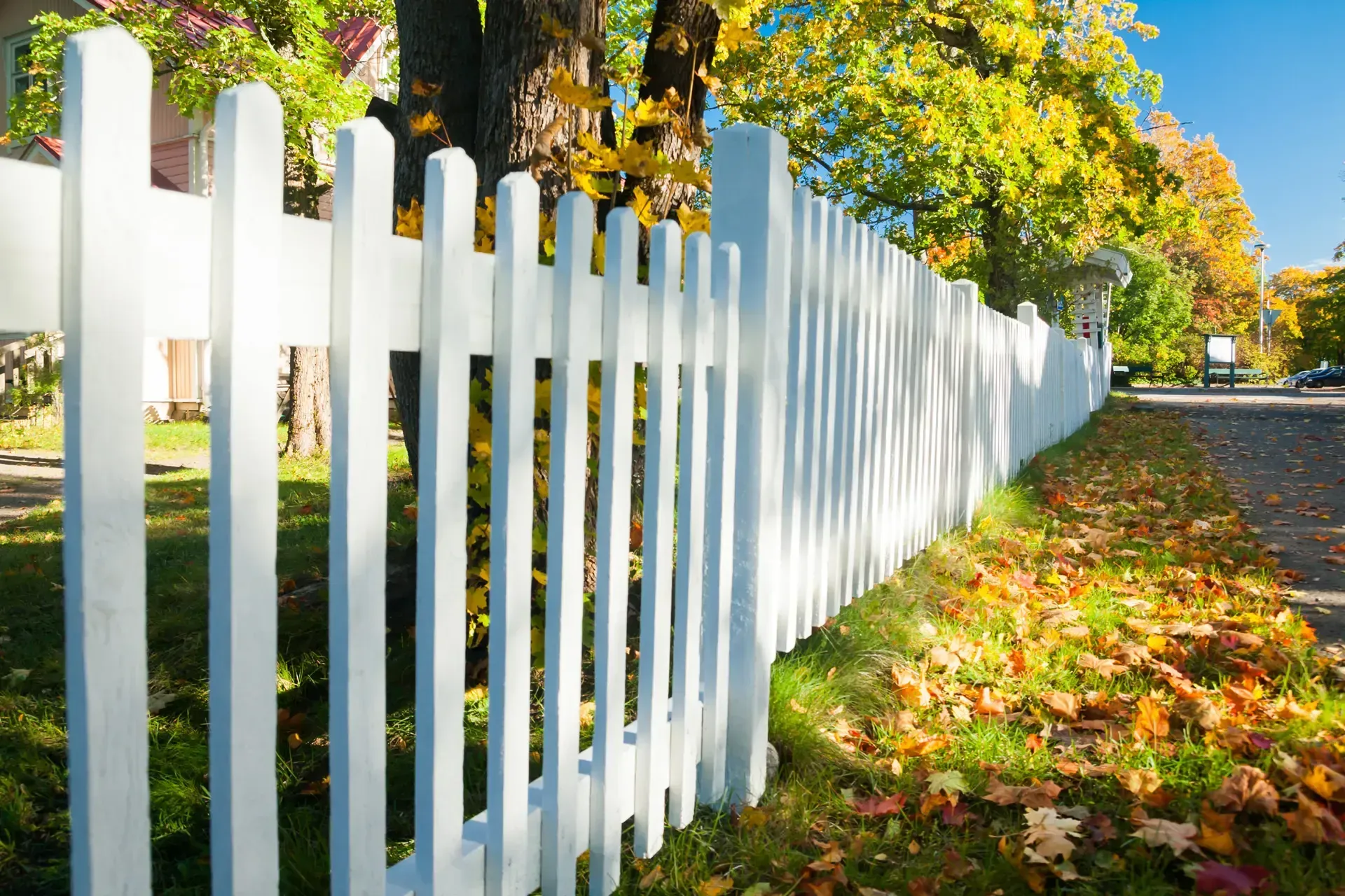 A white picket fence is surrounded by trees and leaves on a sunny day.
