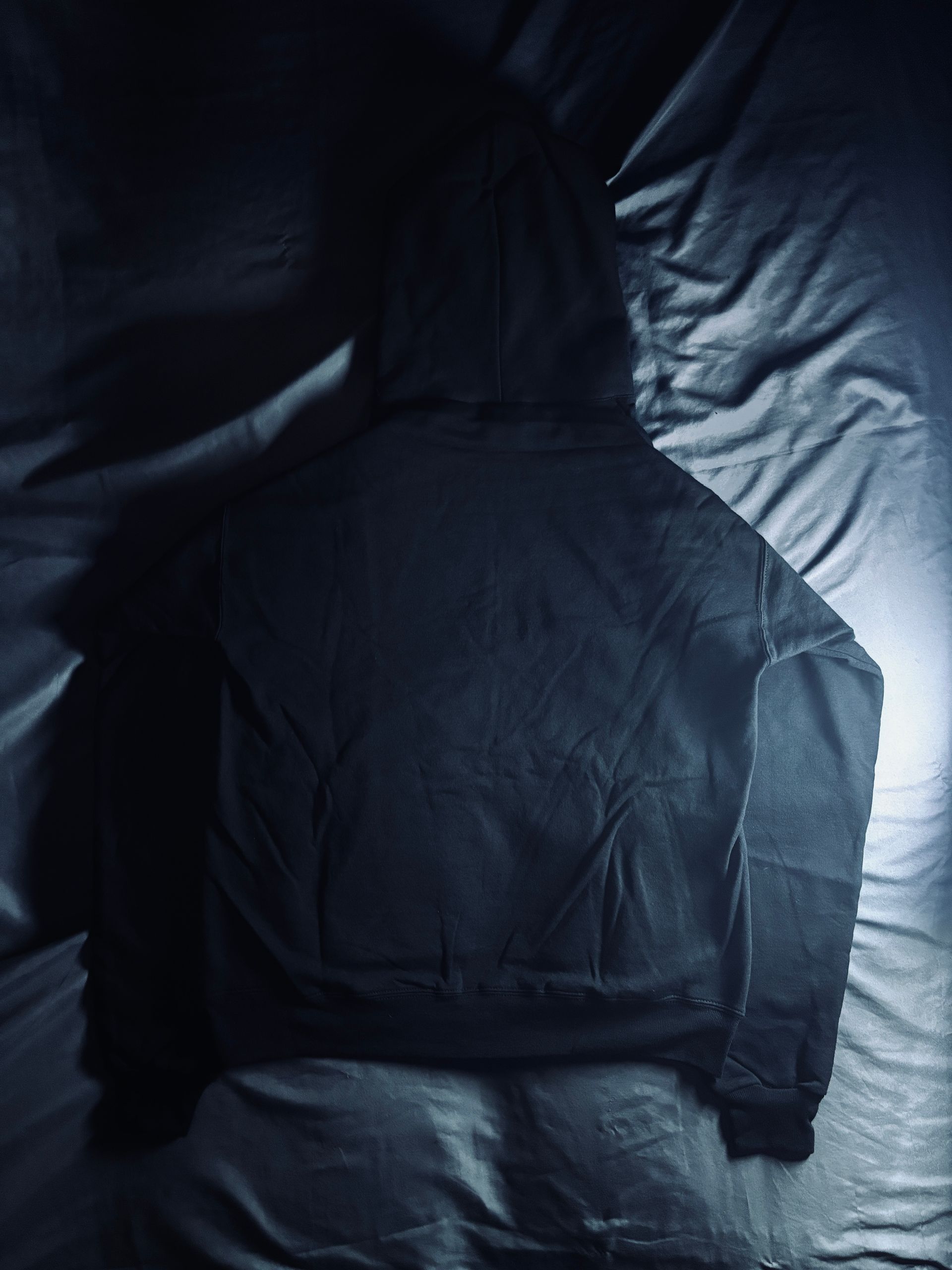 Disciplined Gear Hoodie Classic