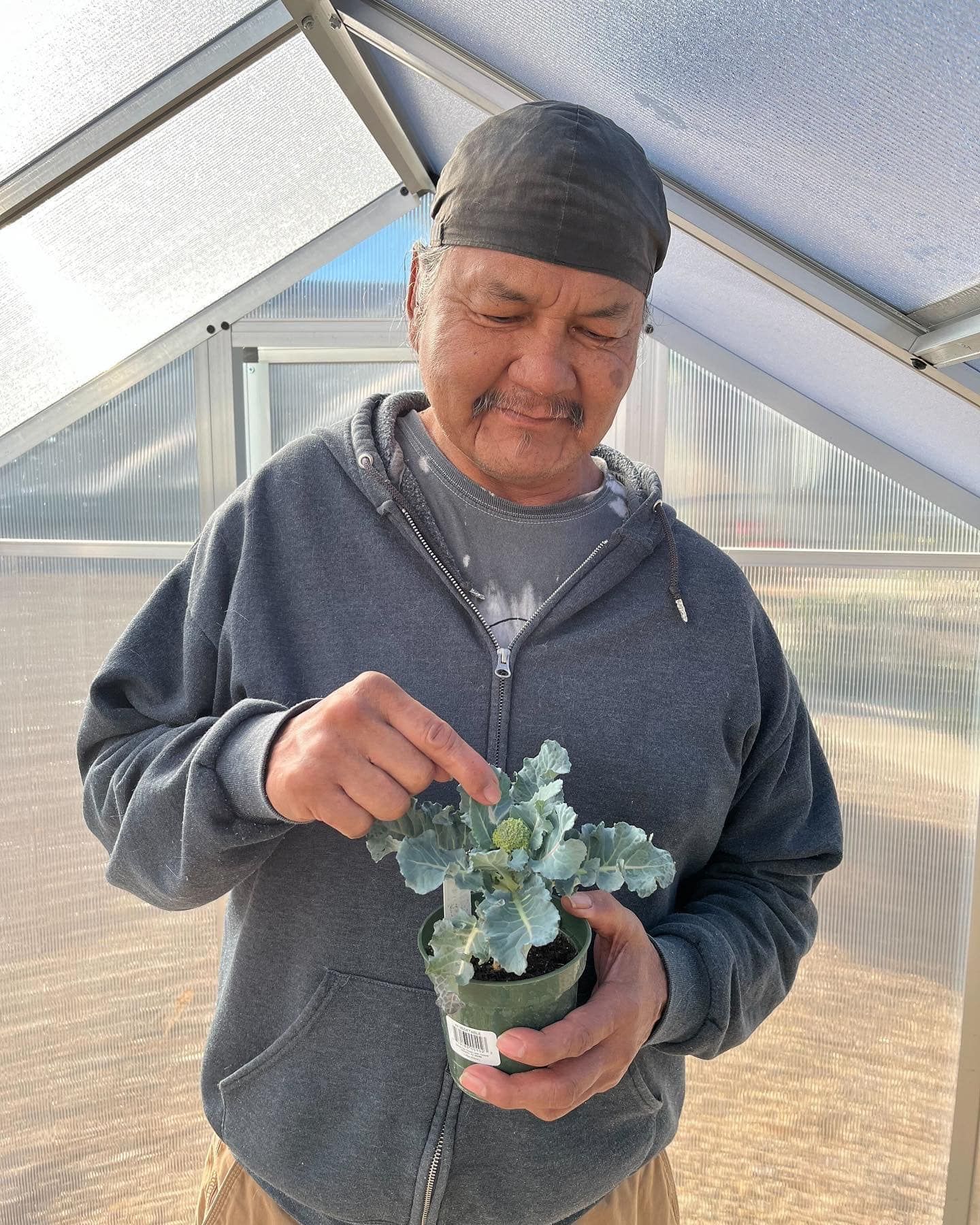 A man is holding a potted plant in his hands in a greenhouse.