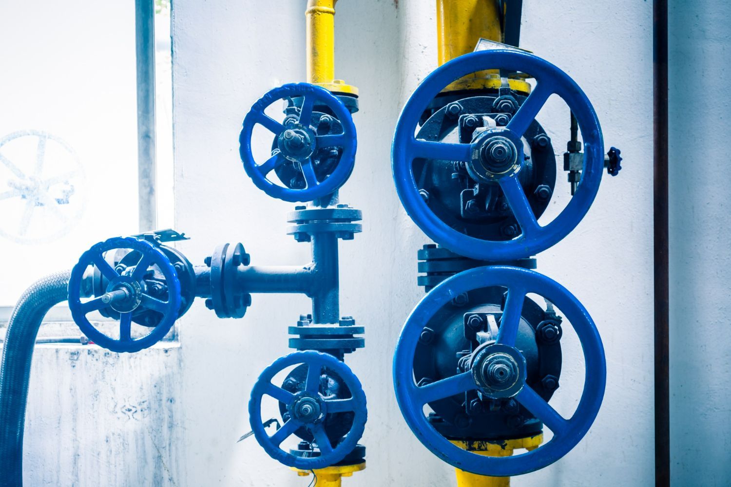 A bunch of blue valves on a yellow pipe.