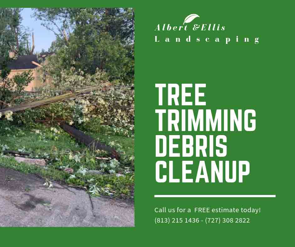 Gallery | Landscaping in FL | Albert & Ellis Landscaping & Tree Services