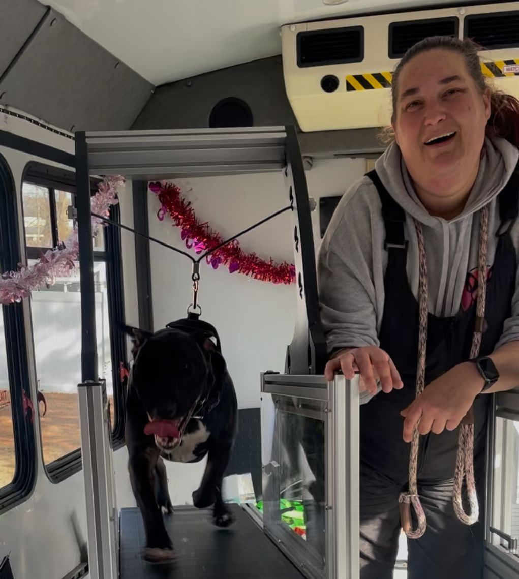 Theresa Krus observing a dog on a treadmill.