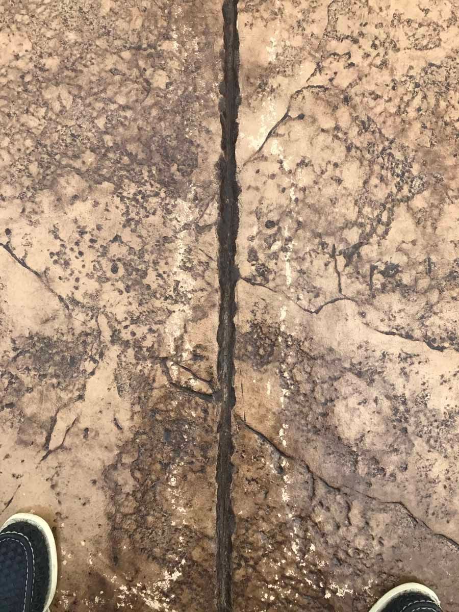 A person is standing on a concrete floor with their feet in the water.