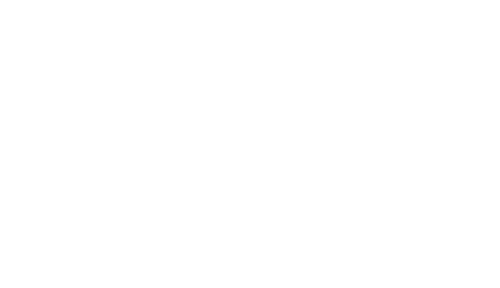 Spa Castle And Pool Supplies logo